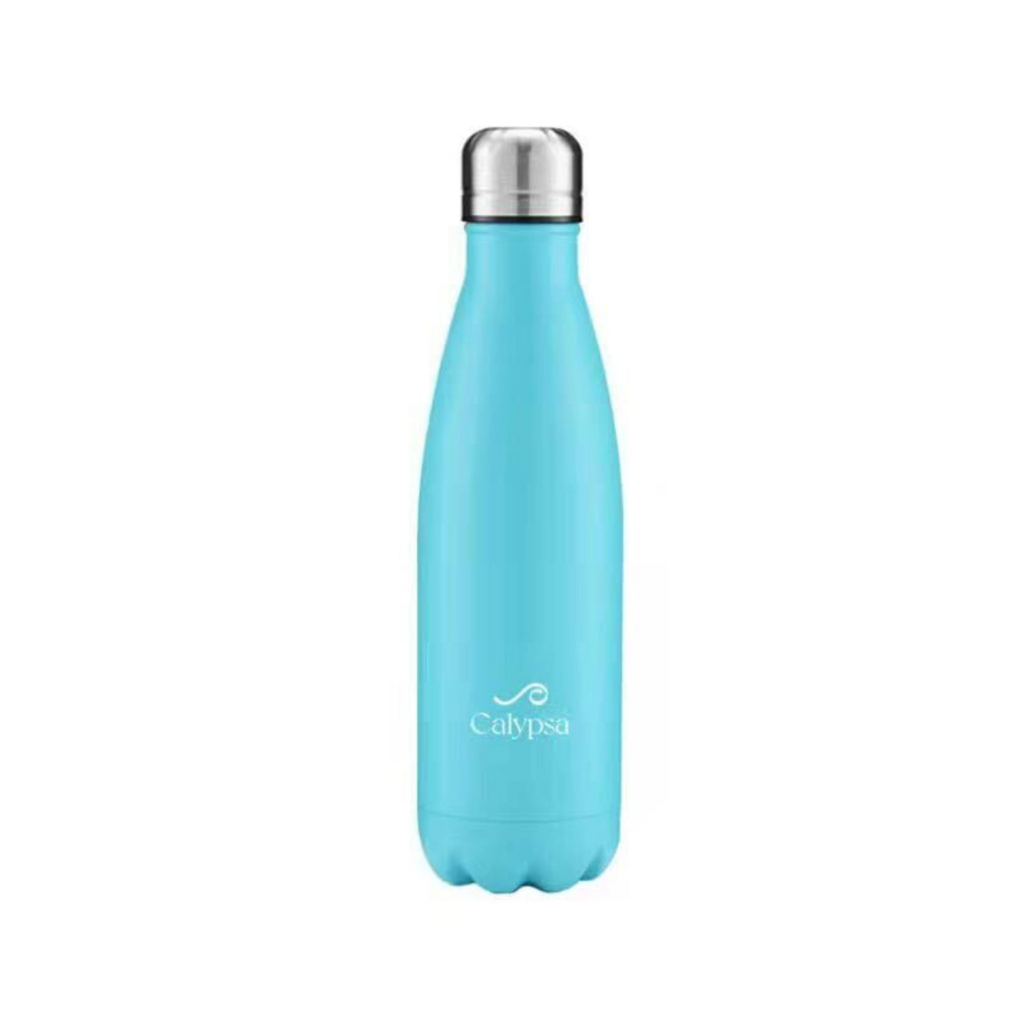 Stainless Steel Water Bottle - 17oz