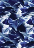 Navy Wave/Navy