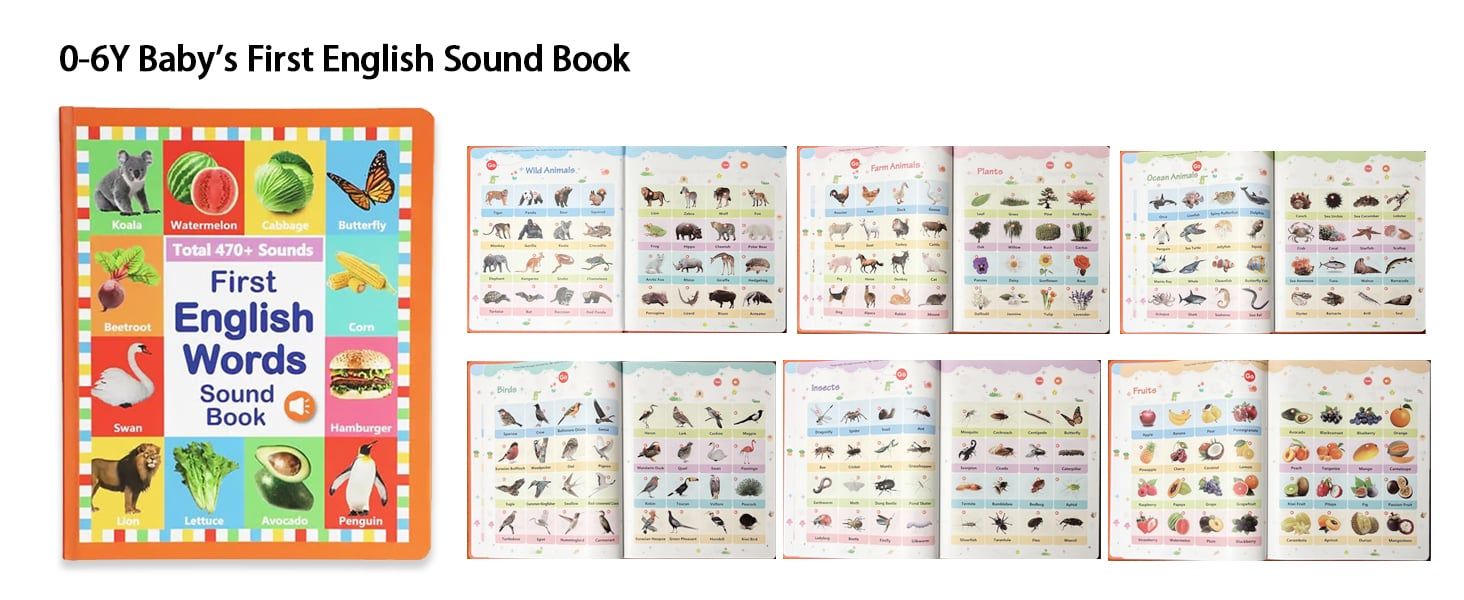 0-6Y Baby's First English Sound Book