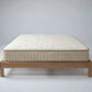 MADE TO ORDER FERGUSON FLUSH VIC ASH BED QUEEN SIZE CLEAR LACQUER + PURE SUPPORT QUEEN MATTRESS FLOOR STOCK CLEARANCE