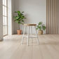 A modern white bar stool with a light natural wood seat and backrest, set on a light wood plank floor in a bright, minimalist room with potted plants.