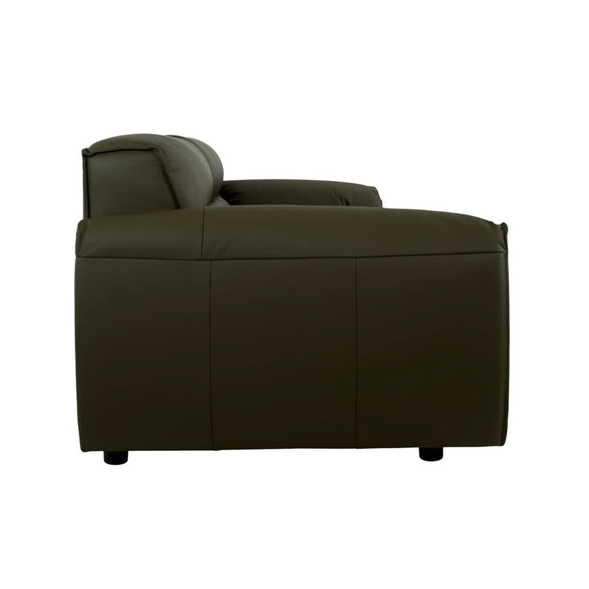 Sparkler olive leather lounge set