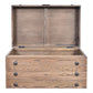 BASIL NAILHEAD OLD ELM TRUNK SIDE TABLE NATURAL WITH IRON ACCENTS - MyChocolateWood
