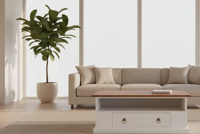 DALE SOLID MAHOGANY 2 DRAWER COFFEE TABLE IN WHITE/CARAMEL 100CM - MyChocolateWood