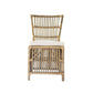 NAPOLI HAMPTONS STYLE RATTAN DINING CHAIR IN ANTIQUE HONEY - MyChocolateWood