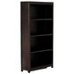 Tanaka Solid Mahogany Wide Bookcase in Chocolate