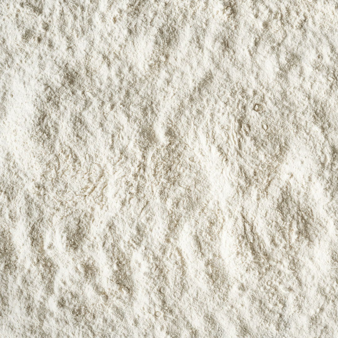 10 Probiotic Strains