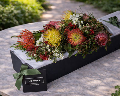 australian native flowers 