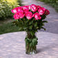 long stemmed pink roses