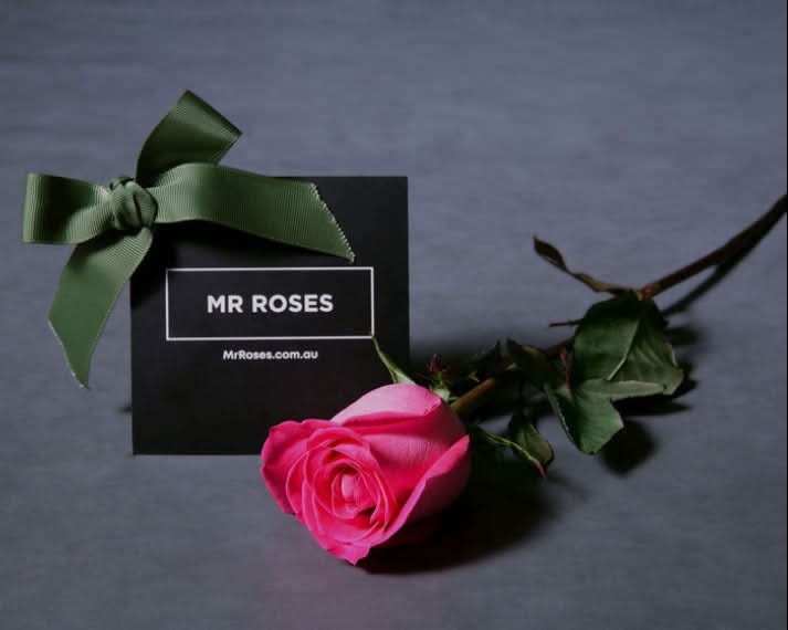 Bulk Individually Wrapped Pink Roses (10-300)