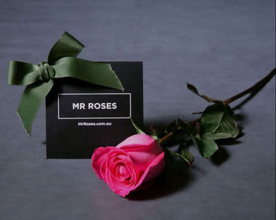 Bulk Individually Wrapped Pink Roses (10-300)