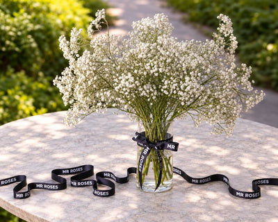 Mr Roses Baby's Breath Boxed