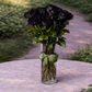 black roses vase
