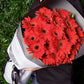 deep red gerbera flower bouquet