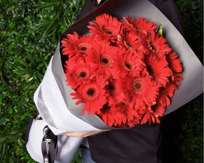 deep red gerbera flower bouquet