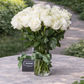 medium stemmed white roses