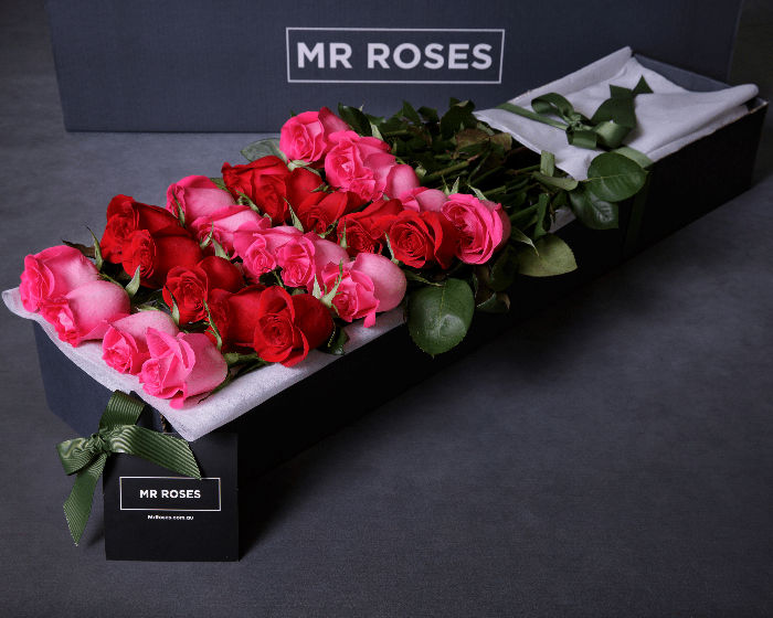 red and pink long stemmed roses in gift box