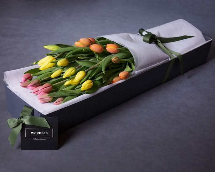 Mr Roses APAC: Terrific Tulips - product image