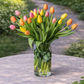 tulips in vase