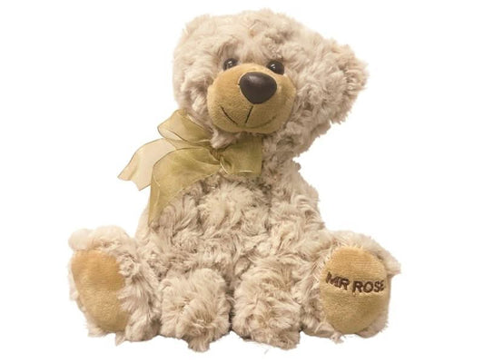 Jeffrey the Teddy