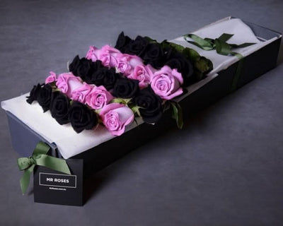Long Stemmed Purple & Black Roses