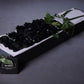 boxed black roses