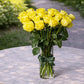 long stemmed yellow roses