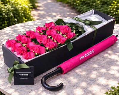 Pink Roses & Umbrella