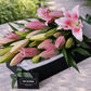 fragrant pink oriental lilies