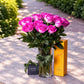 Purple Roses & Champagne