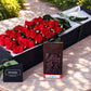 Red Roses & Chocolates