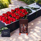 Red Roses & Chocolates