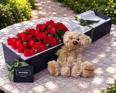 Red Roses & Teddy Bear