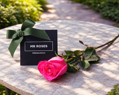 Bulk Individually Wrapped Pink Roses (10-300)