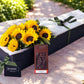 Sunflowers & Chocolates