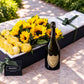 Sunflowers, Yellow Roses & Champagne