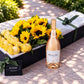 Sunflowers, Yellow Roses & Champagne