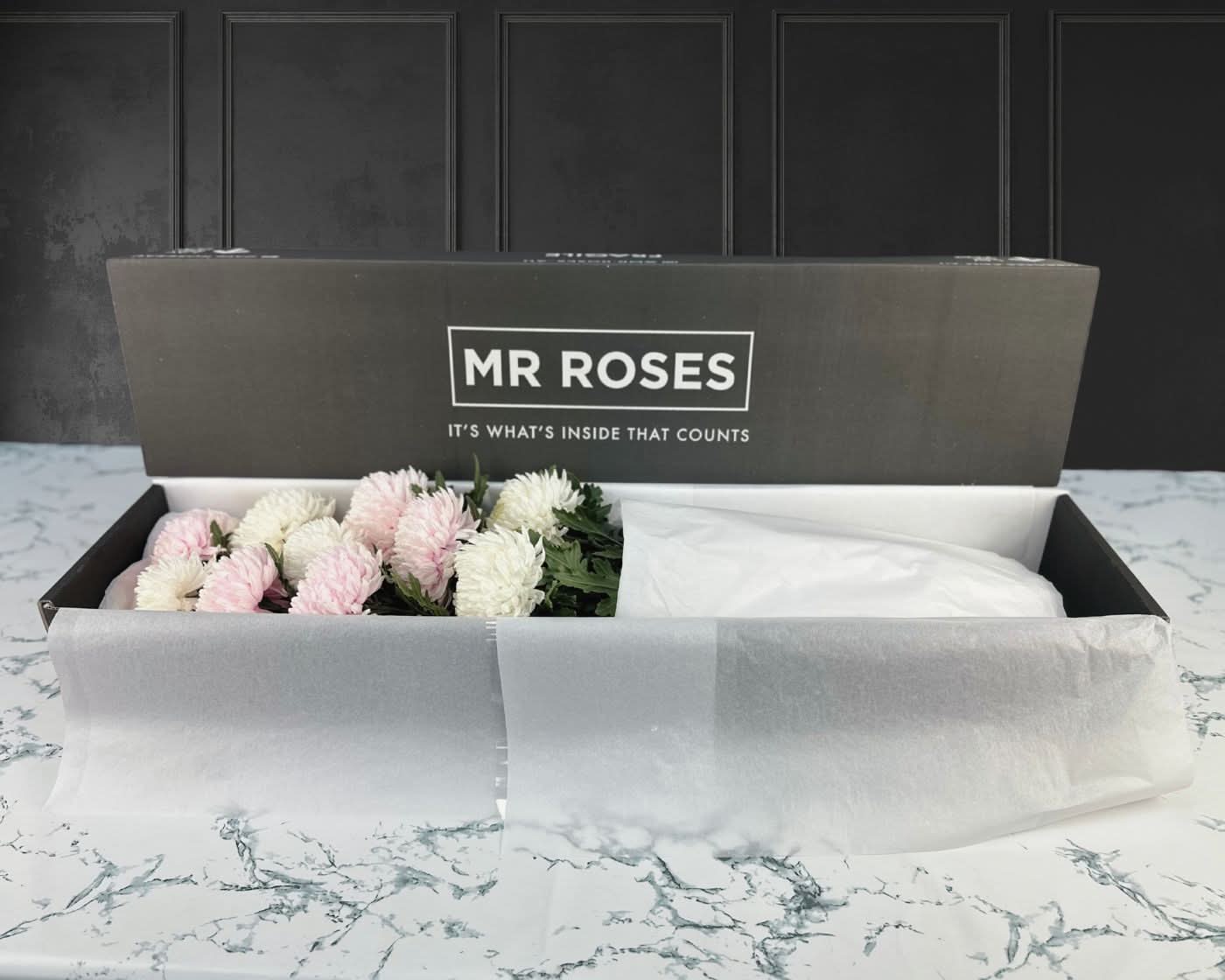 Chrysanthemum Delight