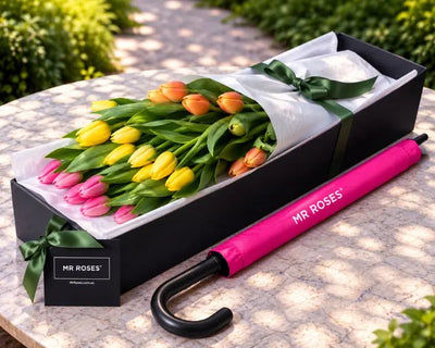Tulips & Umbrella