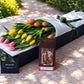 Tulips & Chocolates