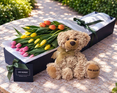 Tulips & Teddy Bear