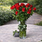 Valentine's Day Flowers - Red Roses (12-36 Stems)