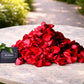 Valentine's Day Red Rose Petals