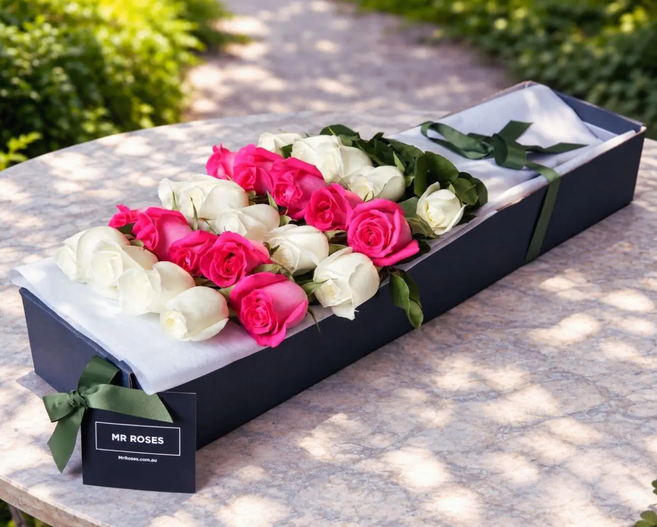 Long Stemmed Pink & White Cream Roses
