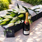 Lilies & Champagne