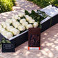 White Roses & Chocolates
