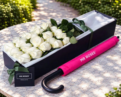 White Roses & Umbrella