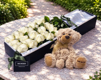 White Roses & Teddy Bear