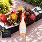 Natives & Champagne
