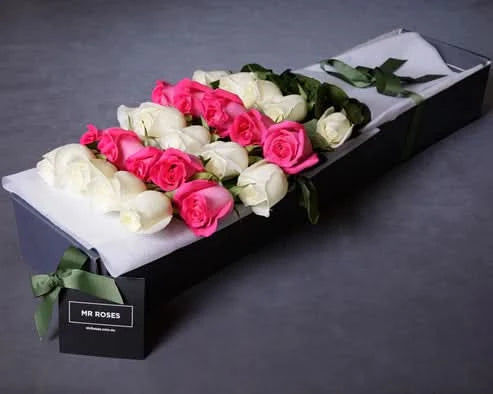 white and pink long stemmed roses